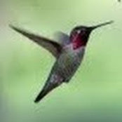 Anna Long's photo