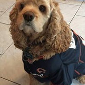 Sandy Hoefler-Liebman's photo