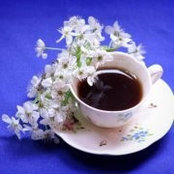Kathy Keener's photo