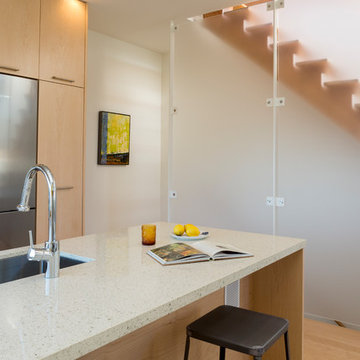 Eco-Conscious In-Fill in Berkeley