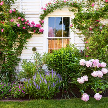Gardening