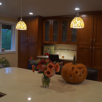 Bellevue Kitchen and interior remodel