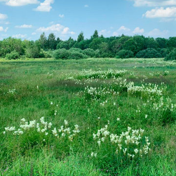 Участок на склоне с лугом и лесом