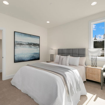 Harlow | Bellevue