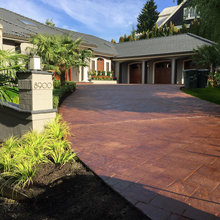 palm trees