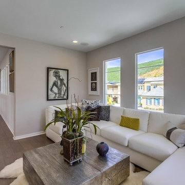 Coastal Contemporary