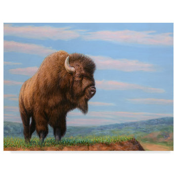 James W. Johnson 'American Bison' Canvas Art, 19"x14"