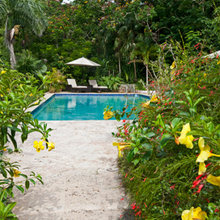 Virgin Islands