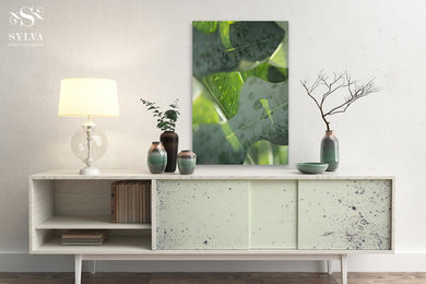 Frosted Eucalyptus Leaves Gallery Wrap Fine Art Canvas