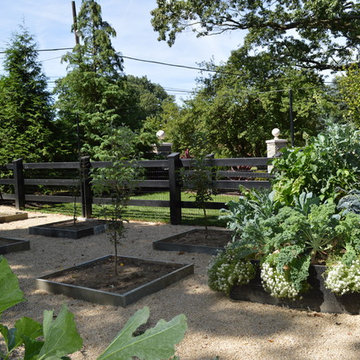 Vegetable Garden