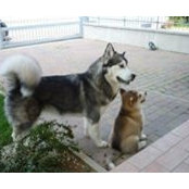 Patrizia Tuzzi's photo