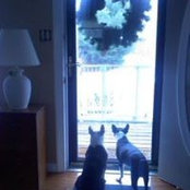 Leslie Trevethan's photo
