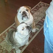 Dorothy Sheller's photo