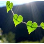 Toni DeWaal's photo