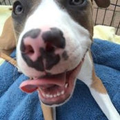 Melissa Trotman-Pfeifer's photo