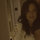 webuser_21702615