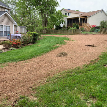 Lawn renovation