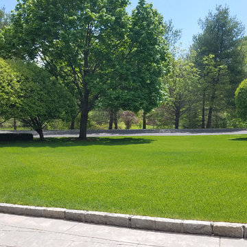 Plantings