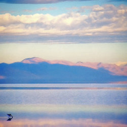 Antelope Island Morning - Artwork