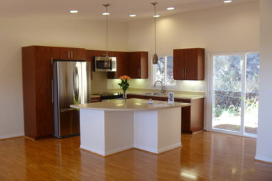 Trendy kitchen photo in Hawaii