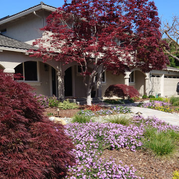 DESIGN TO COMPLIMENT MAPLE TREES