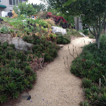 Design Build: Vista Botanical Home