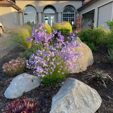 Ditch the Lawn!