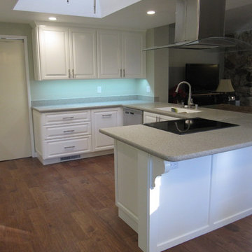 Kitchen Demolition and Electrical Upgrades