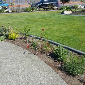 Edible Front Yard
