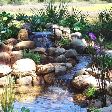 Waterffall and bubbling stream
