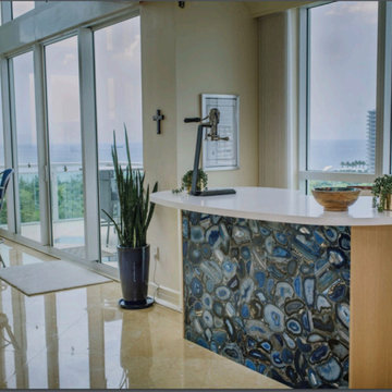 Luxury Condo Remodel