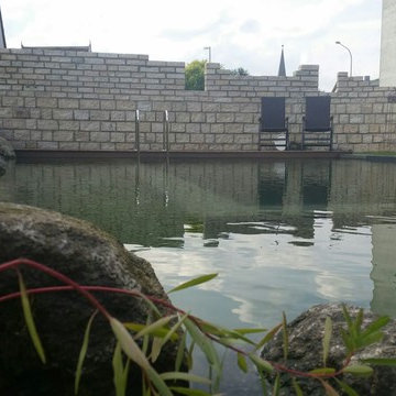 Planung und Neuanlage eines Schwimmteiches