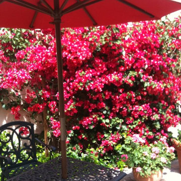 1920 Baywood Beauty: Staged with Feng Shui to Sell!