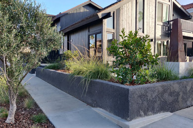 Modern Beachside Chic with Native Plants