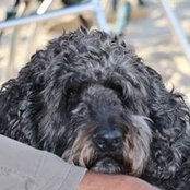 Jim Boucher's photo