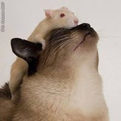Charlee Bumgardner's photo
