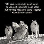 Lisa Lucht's photo