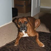 Leslee Marquart's photo