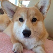 Kim Rayworth's photo