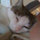 deborah_gray