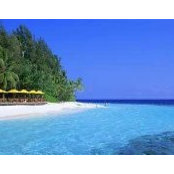 Maria Mascolo's photo
