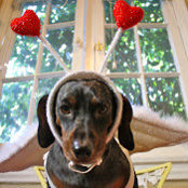 Katherine Madden's photo