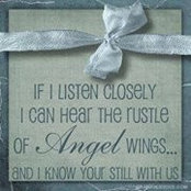 Sue Palone Payne's photo