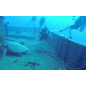 Chris Chorizio's photo