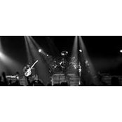 Tim O'brien's photo