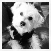 Foto von Zoey Ann