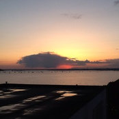 annehoy's photo