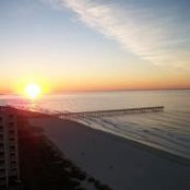 Lee Cox's photo