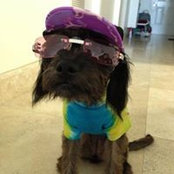 Vadim Makarevich's photo