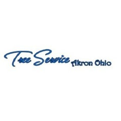 Tree Service Akron Ohio